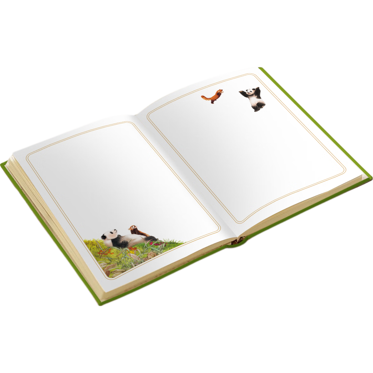 【当当 送大礼包】熊猫康吉的远行 孩子你终将长大 熊猫康吉大礼包下单就送（书+手账本+帆布袋+徽章两个随机发货）漫画少年强者思维 漫画丛林法则 动物小说大王沈石溪儿童文学书单小学生课外书阅读必读书籍 