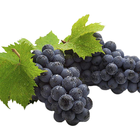 ���ڲ��������Ͻ�ˮͷ���ͷ�ֲ�ֱ���ĺ��������Ѻ�������Ӧ���и�����ˮ�� ��ժ������1.8-2.2� 28.9Ԫ