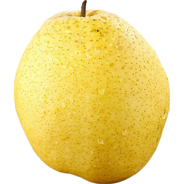 京喜加百年梨乡雪花梨【京严选】核心产区直发小吊梨汤冰糖雪梨润肺佳品 带箱2斤[净重1.6斤] 冰糖雪梨 果园直发 京东快递