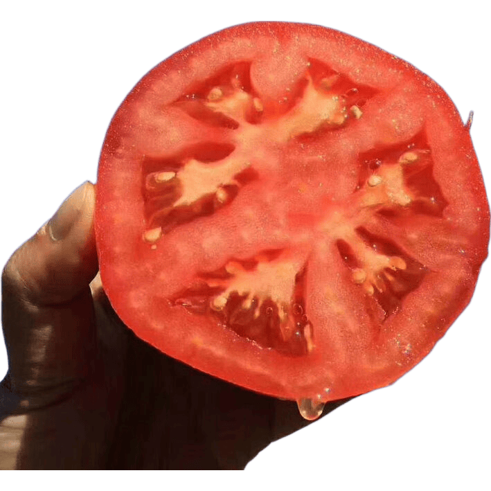 ����ɳȿ������ ��ɽ��ժ ����ˮ���߲� 5�� ��ũ���� 0.01Ԫ