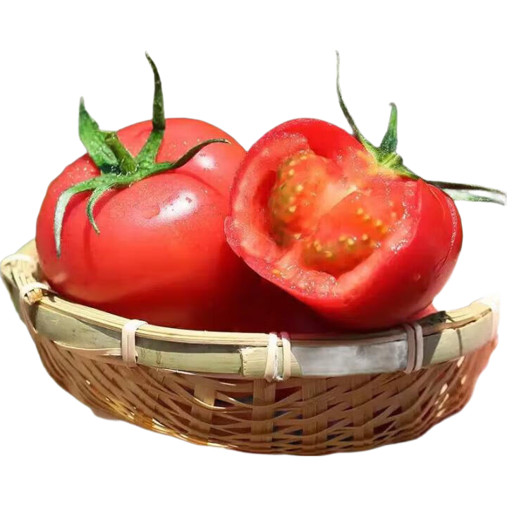 ɳȿ������ ��ɽ��ժ ����ˮ���߲� ����5�� ����70g+ �곤�Ƽ�װ 11Ԫ