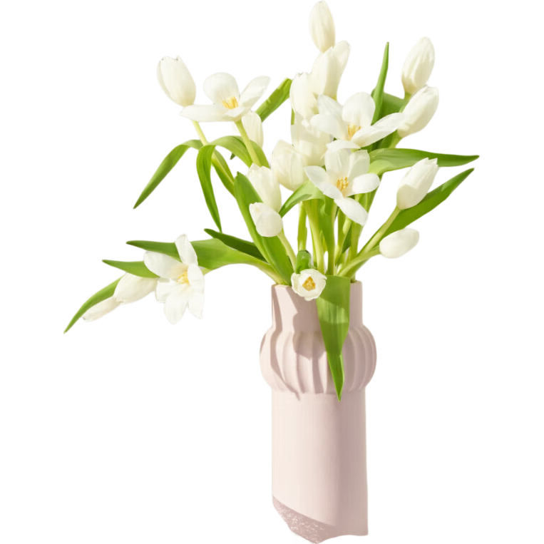 郁金香鲜花随机色云南源头直发 【珍珠白】郁金香鲜花10枝