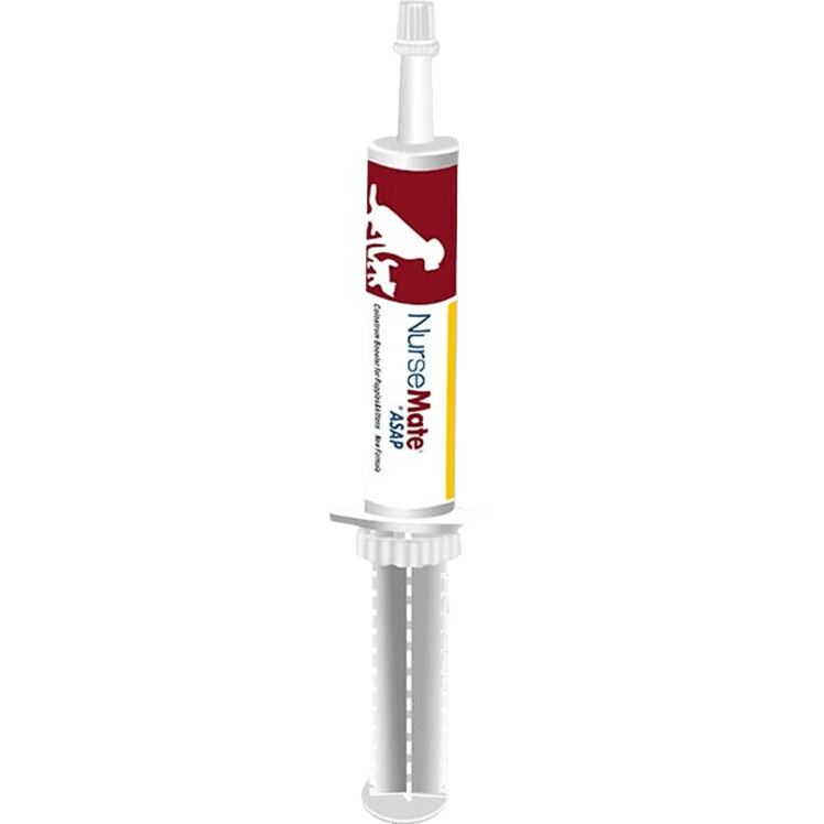 添赐力牛初乳营养膏宠物猫咪新生幼犬幼猫天赐力乳铁蛋白孕猫术后恢复 30ml*1支 添赐力营养膏