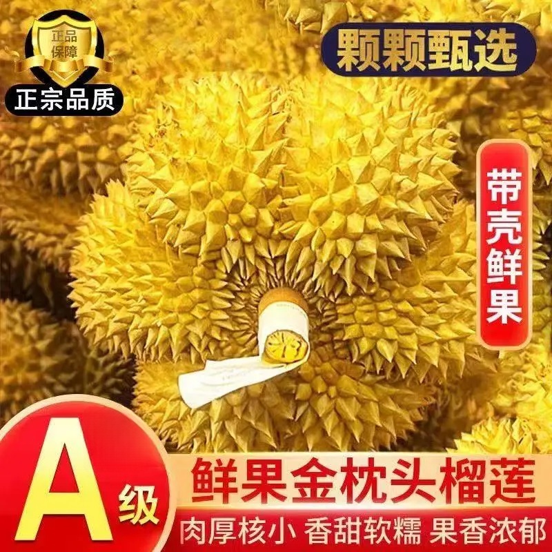 勇者无惧泰国金枕头榴莲 新鲜现货整箱带壳进口巴掌榴莲A果一整个鲜果 金枕榴莲净重3-4斤【包3房以上】 精选果