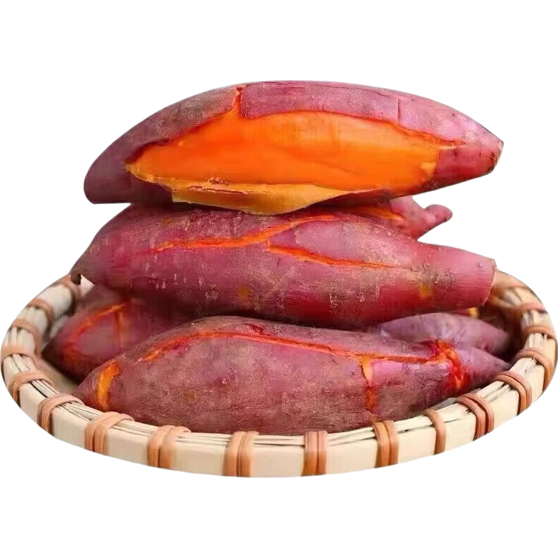 ���ڲ����������� ɳ�غ��� ���Ϻ� �����ַ� 5�ﾻ��4.5�� ��Ŵ���� 11.9Ԫ