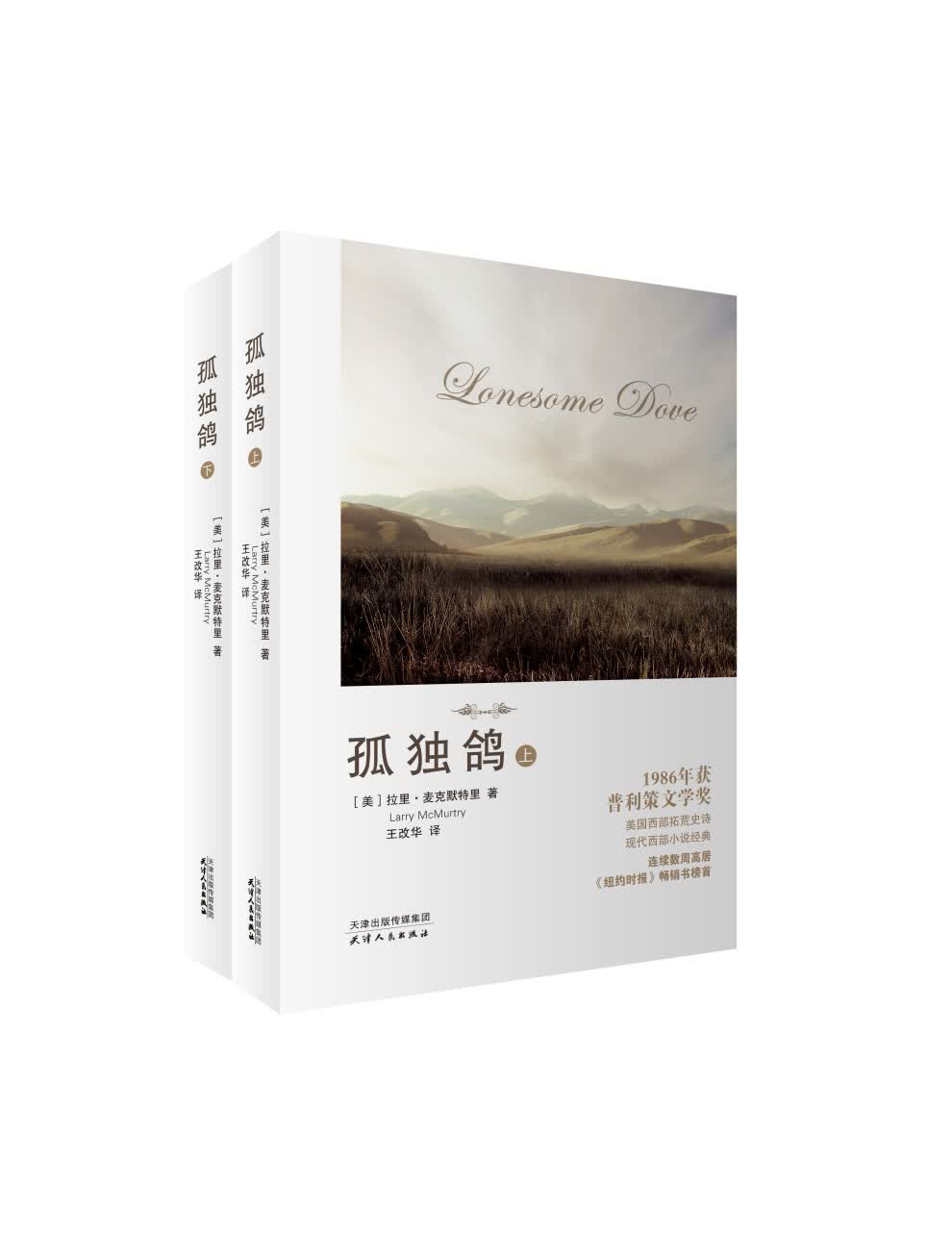 孤独鸽（全两册）普利策文学奖作品 拉里·麦克默特里作品 美国西部文学精品原著 全新正版京东发货