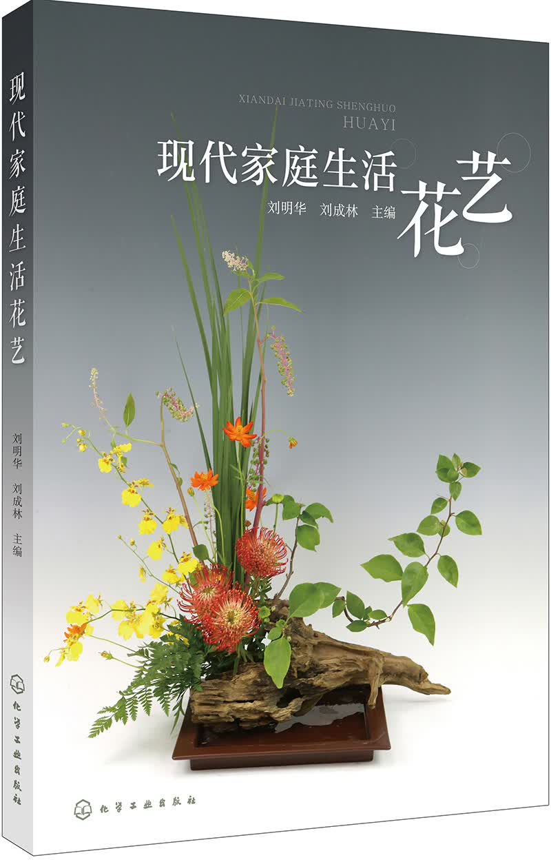 现代家庭生活花艺