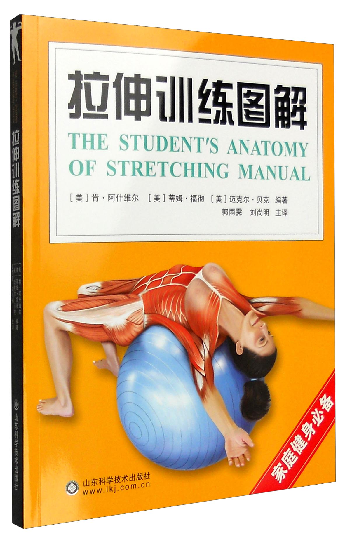 拉伸训练图解