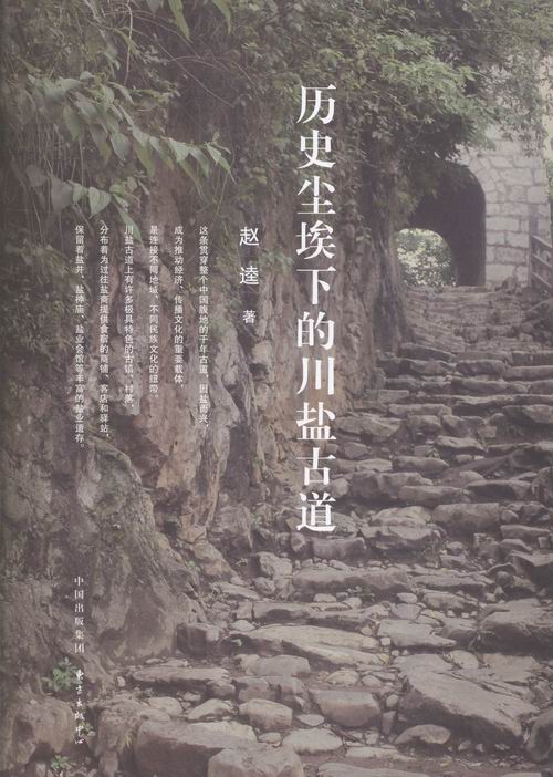历史尘埃下的川盐古道 历史 书籍