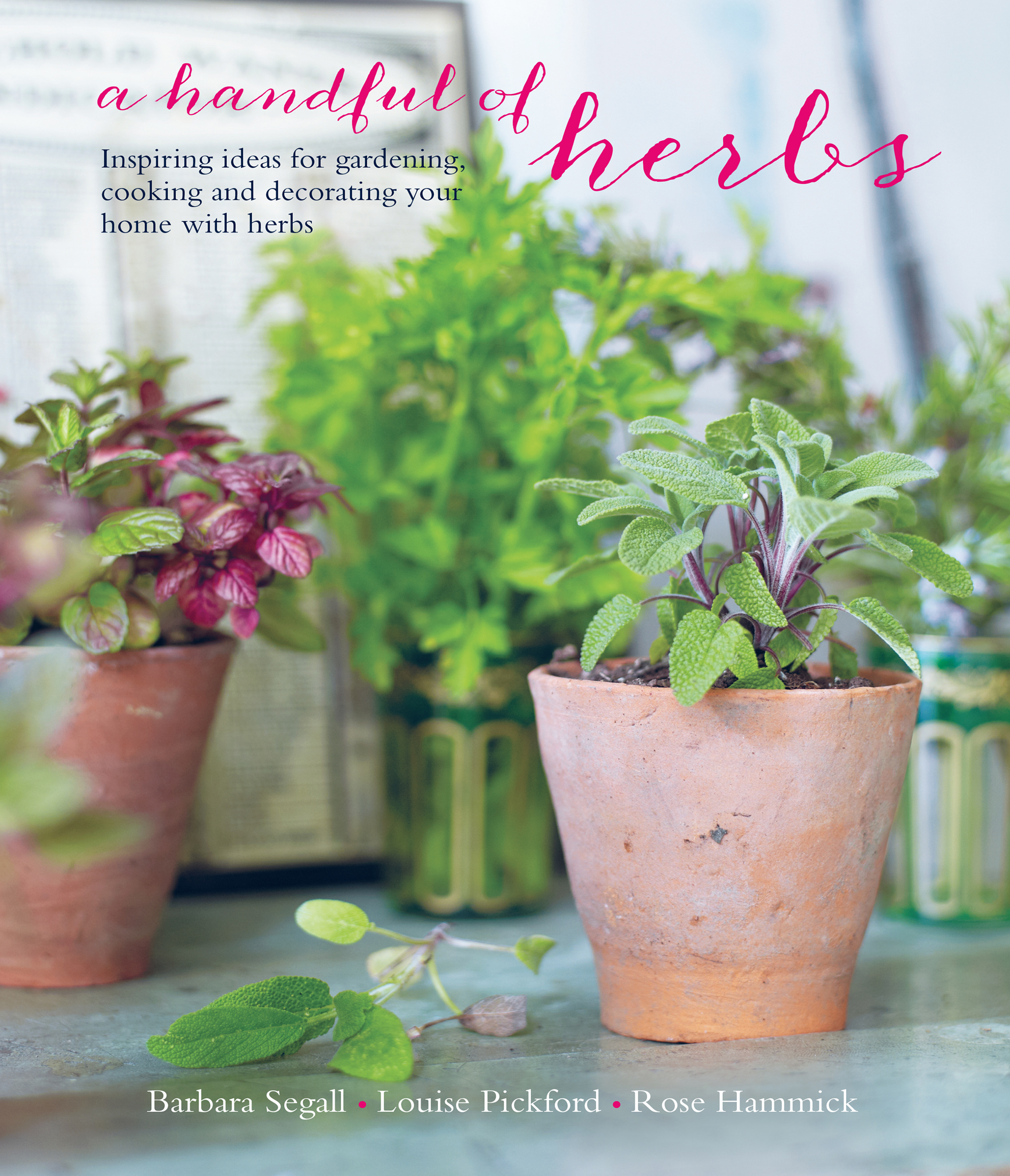 A Handful Of Herbs