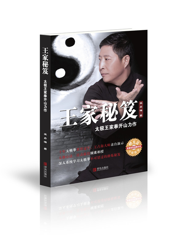 王家秘笈：太极王家拳开山力作