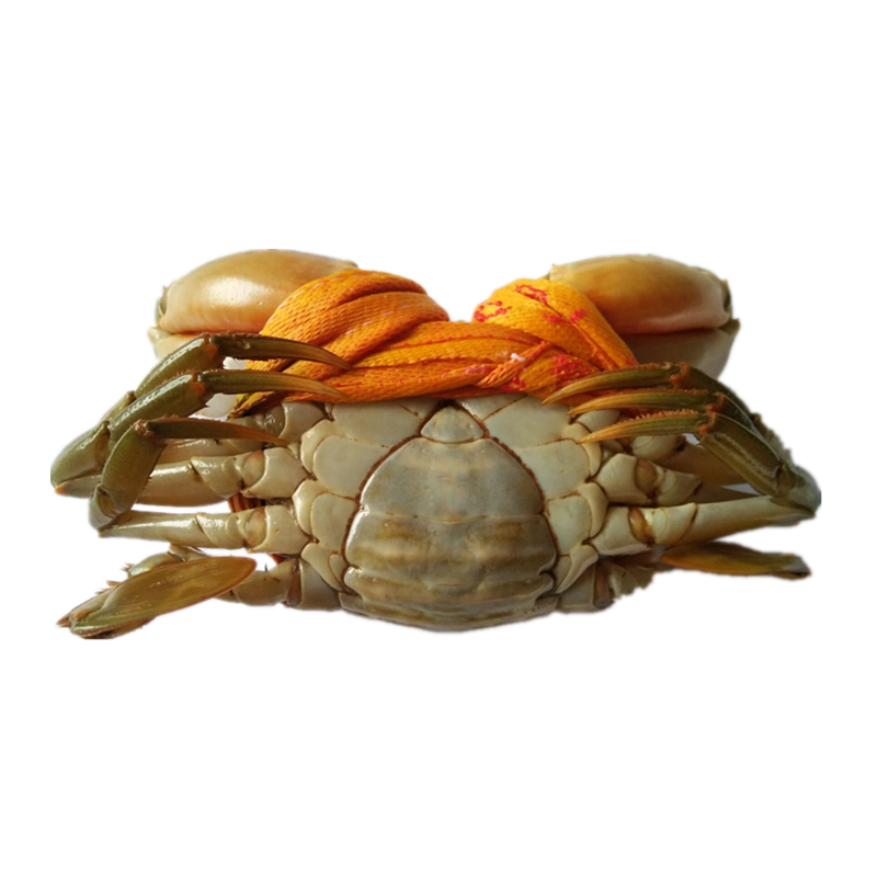 【活鲜】 鲜活蟹青蟹蝤蛑(小公小母)产地三门 1kg 盒装 600g 3只