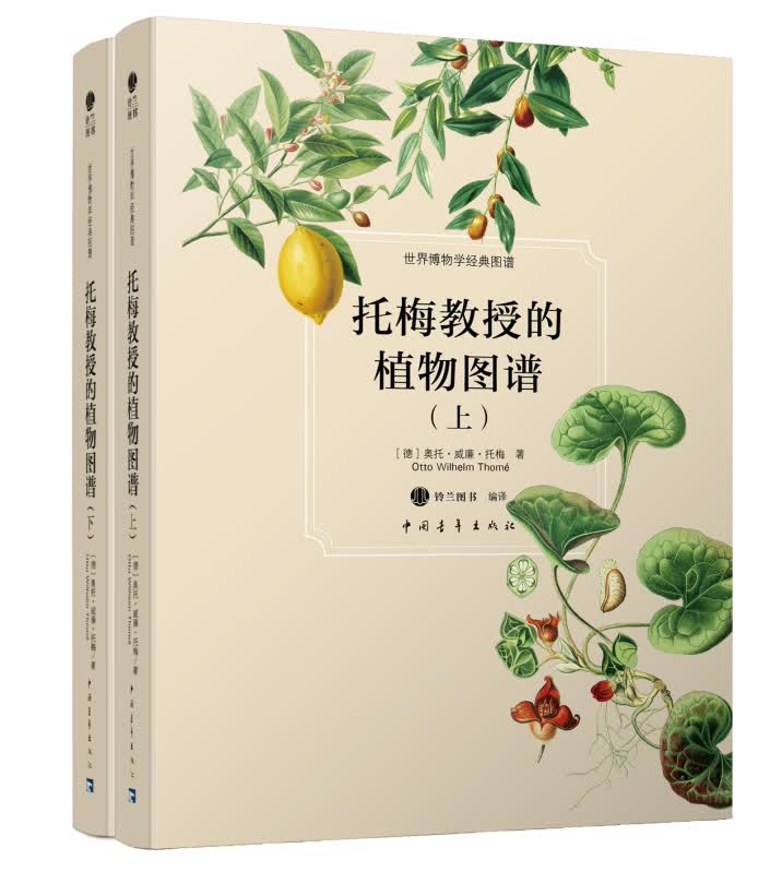 托梅教授的植物图谱（套装上下册）