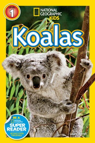 NGR KOALAS 进口儿童绘本
