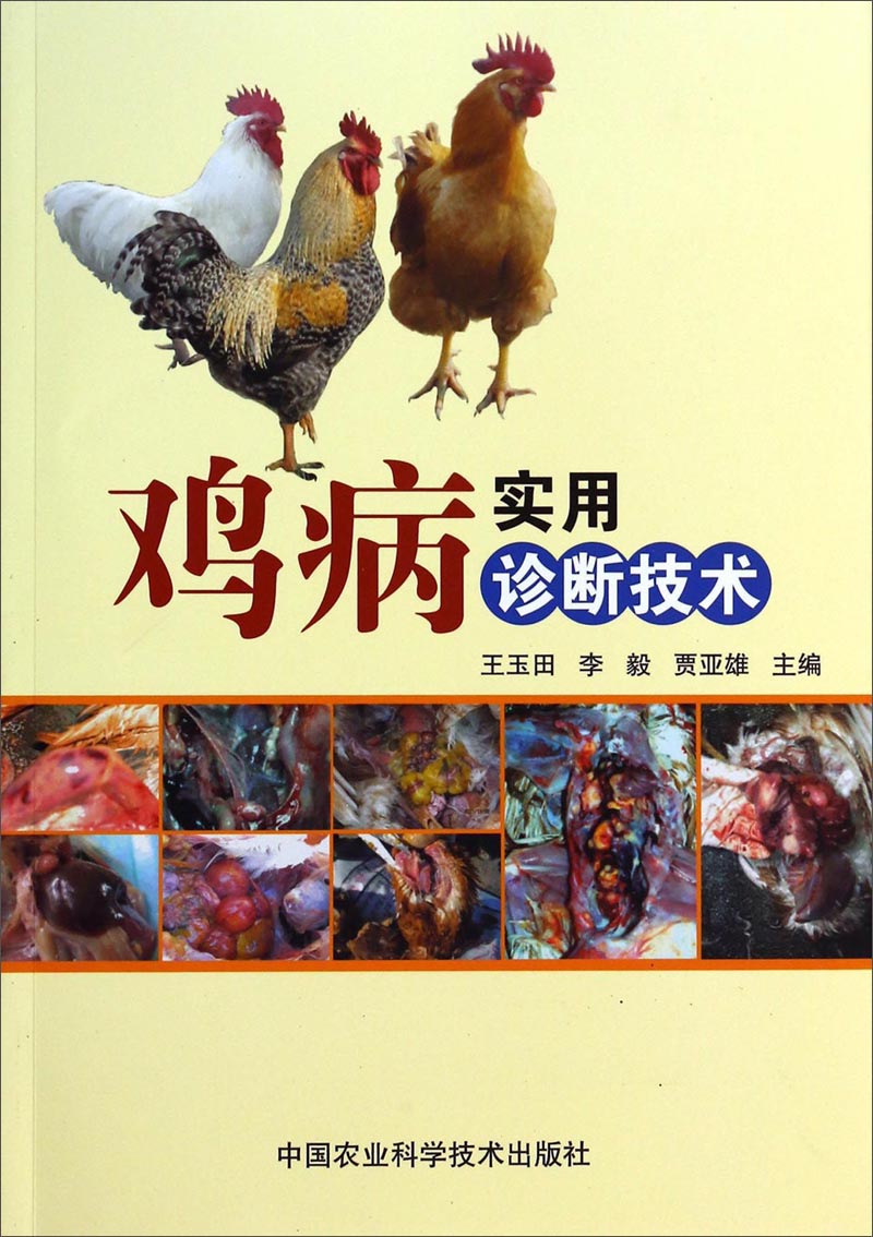 鸡病实用诊断技术
