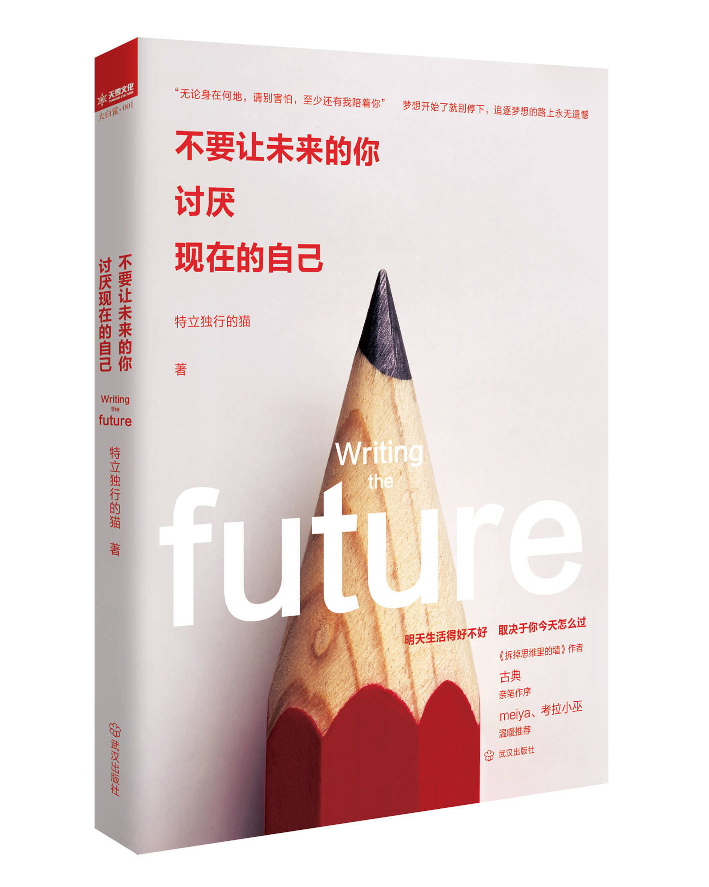 不要让未来的你，讨厌现在的自己详情图