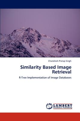 【预订】similarity based image retrieval