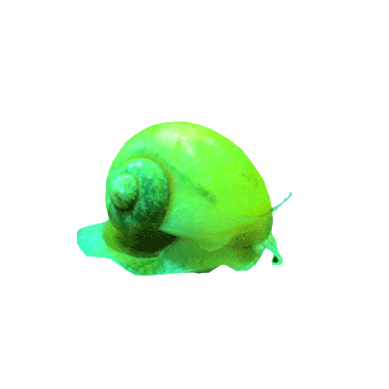 惊喜不断!最新价格走势揭秘,立即购买享优惠