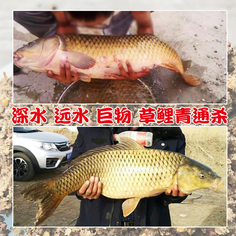 盈龙 爆炸钩饵料鲤鱼爆炸饵野钓黑坑通杀通用鱼饵 底钓鲤鱼草鱼爆炸饵700克