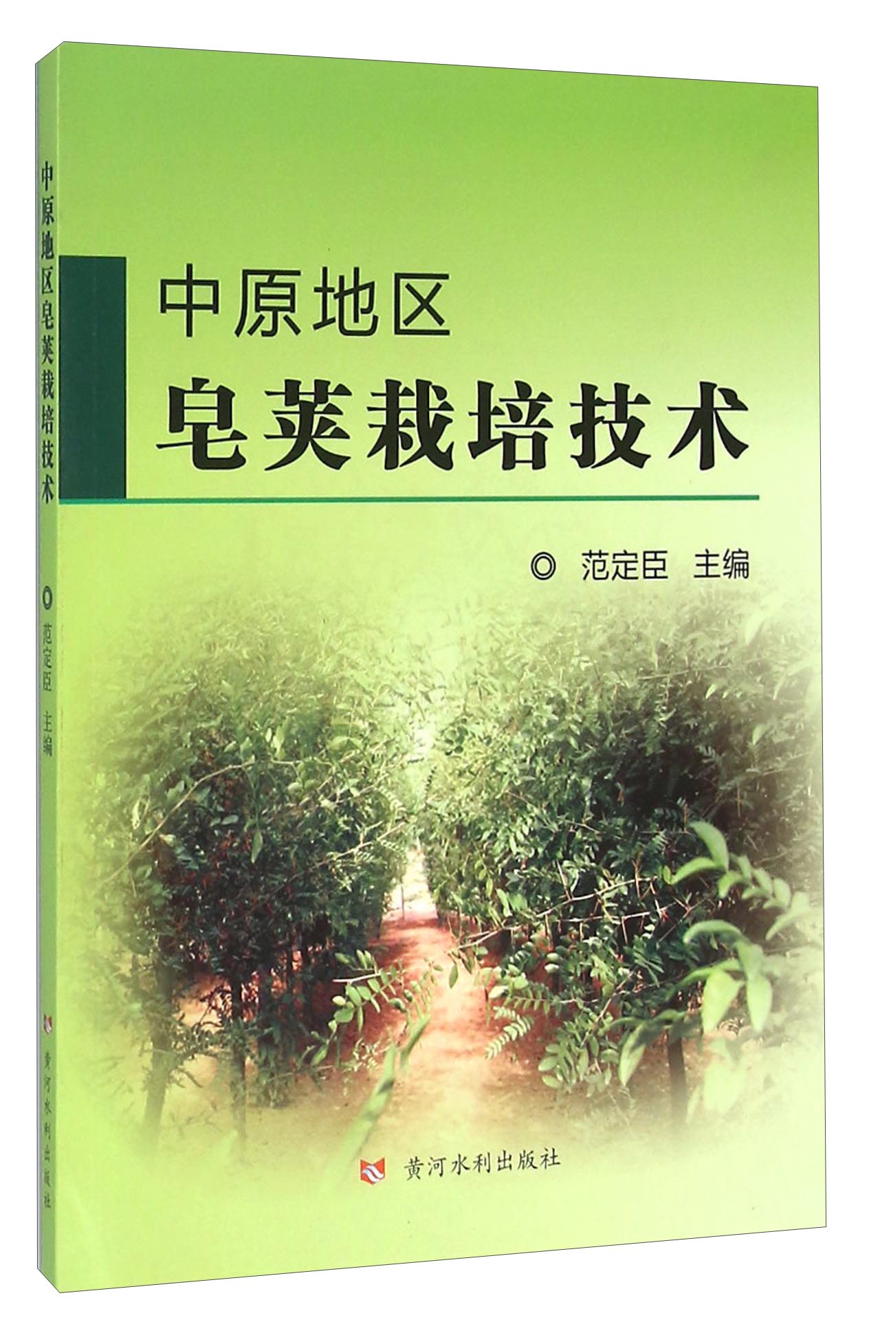 中原地区皂荚栽培技术