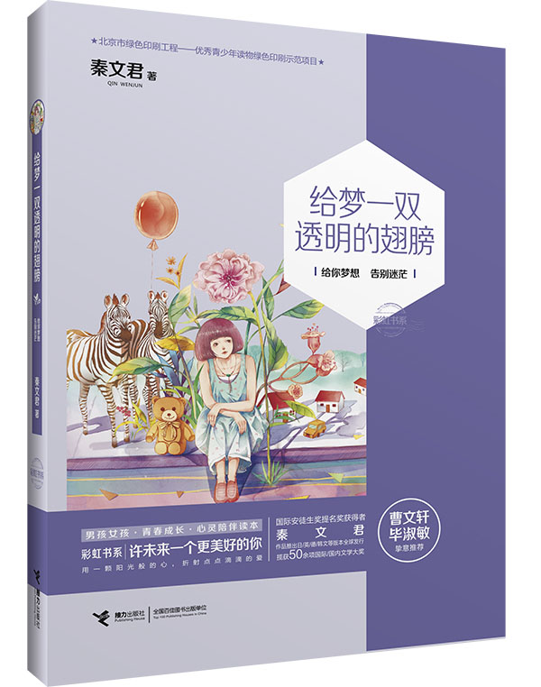 正版图书 给梦一双透明的翅膀 儿童文学图书 透明的翅膀