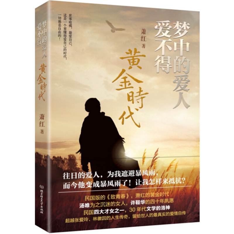 梦中的爱人爱不得-黄金时代