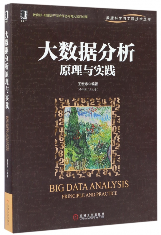 大数据分析原理与实践/数据科学与工程技术丛书