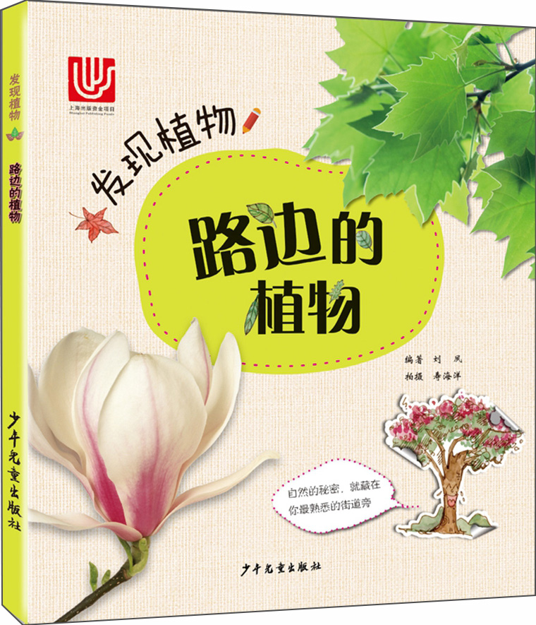 发现植物 路边的植物