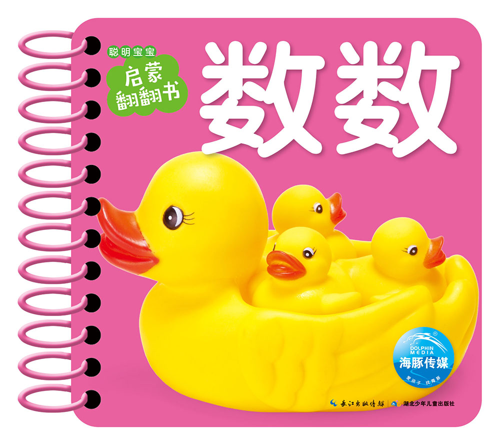 0-3岁聪明宝宝启蒙翻翻书：数数