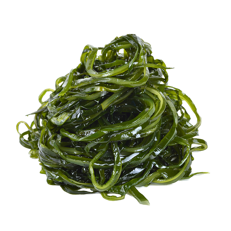 海芝宝：探索藻类美妙世界，价格走势图解析|看京东藻类历史价格走势