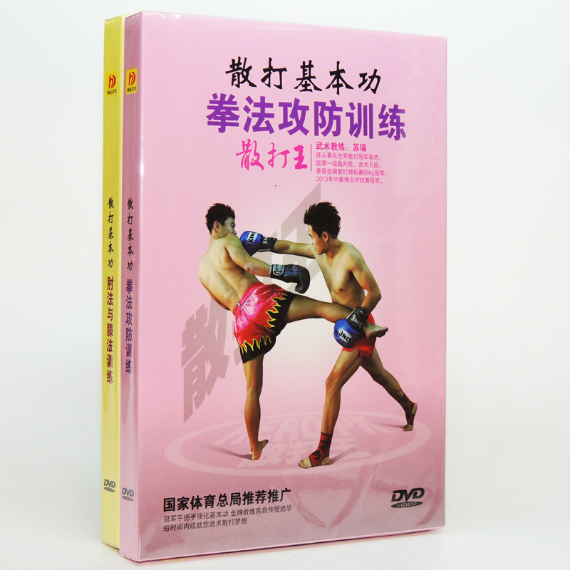 正版 散打基本功 武术教学2dvd 实战训练视频光盘散打王