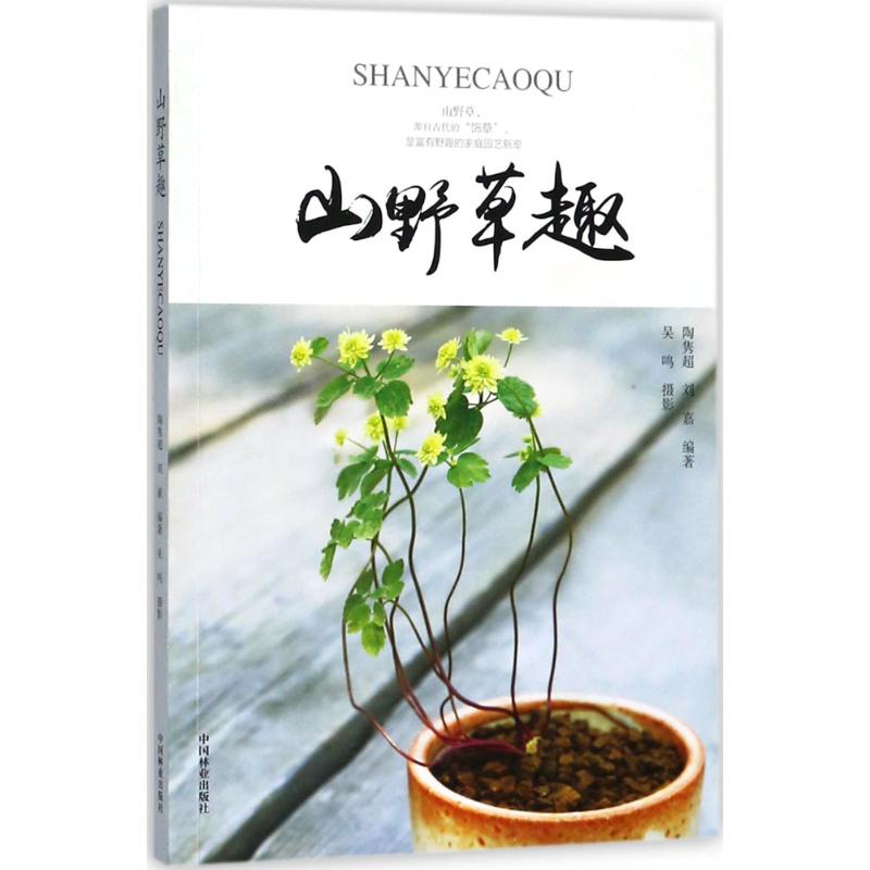 山野草趣 SHANYECAOQU 蕨类 宿根 球根 木本植物 扒扒山野草的美 盆景