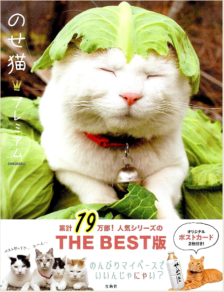 日本进口 萌宠系列 のせ猫 プレミアム  喵星人 顶物猫系列 人气best版