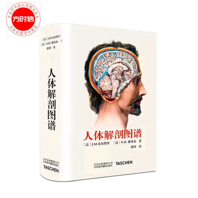 中文版 人体解剖图谱 altas of human anatomy人体手绘手稿彩色图谱