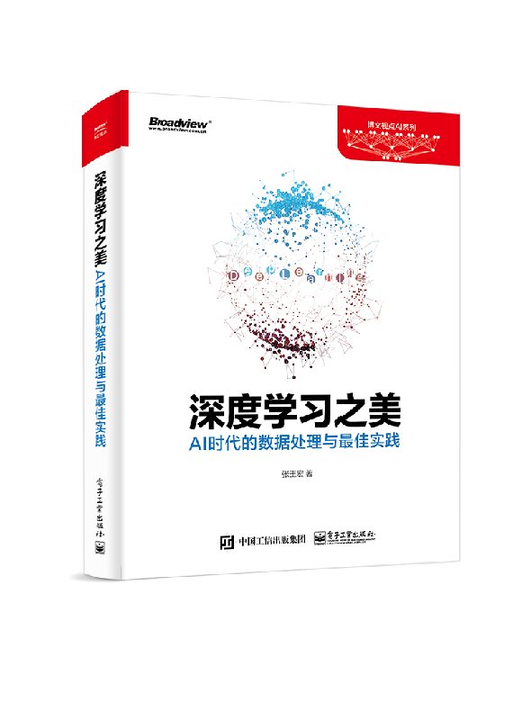 深度学习之美：AI时代的数据处理与最佳实践