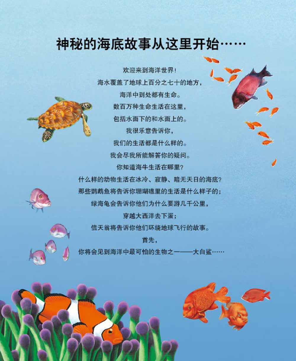 海豚科普绘本动物王国大探秘 第一辑听海洋生物讲故事详情图