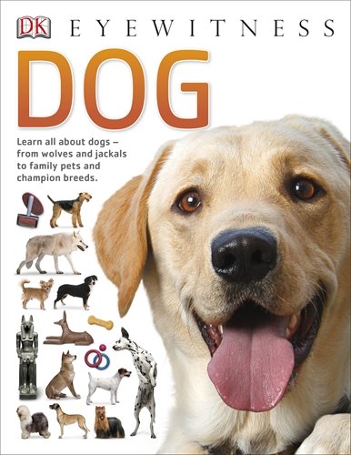 Dog 