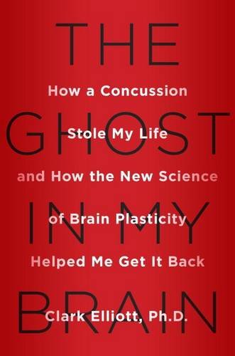 The Ghost in My Brain How a Concussion Stole My
