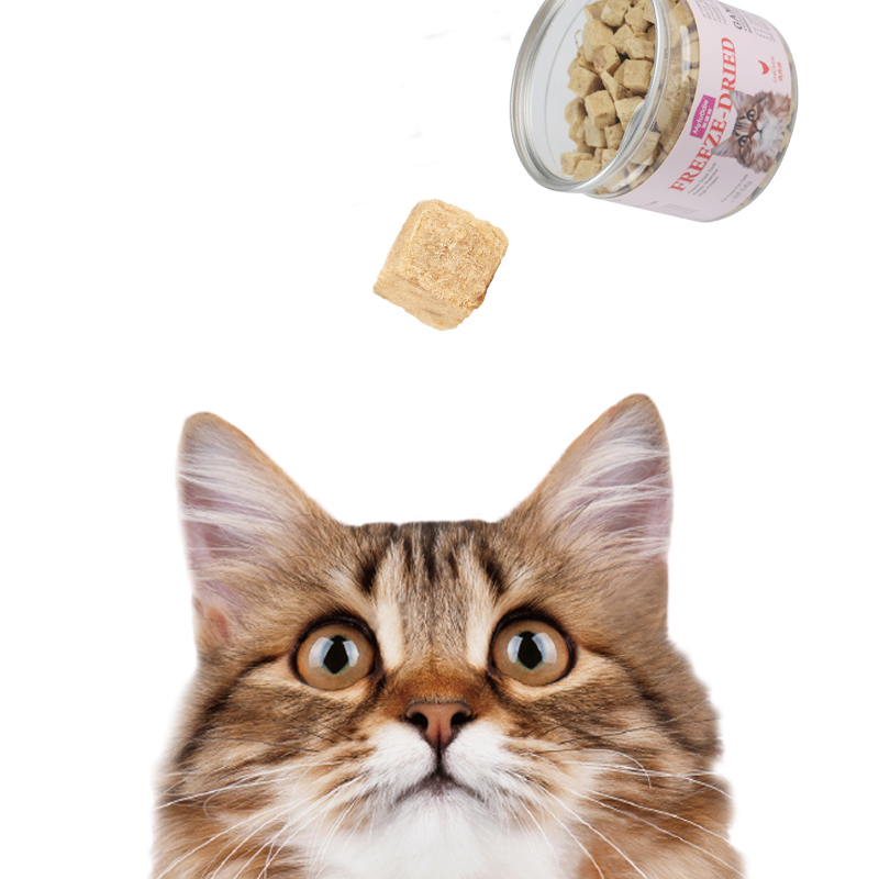 麦富迪猫零食怀孕的猫可以吃吗？
