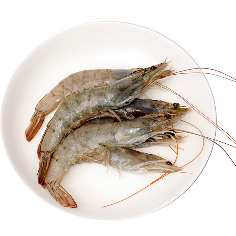 OCEAN FAMILY 大洋世家 厄瓜多尔白虾 单只70-90g 1.5kg