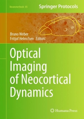 【预订】optical imaging of neocortical