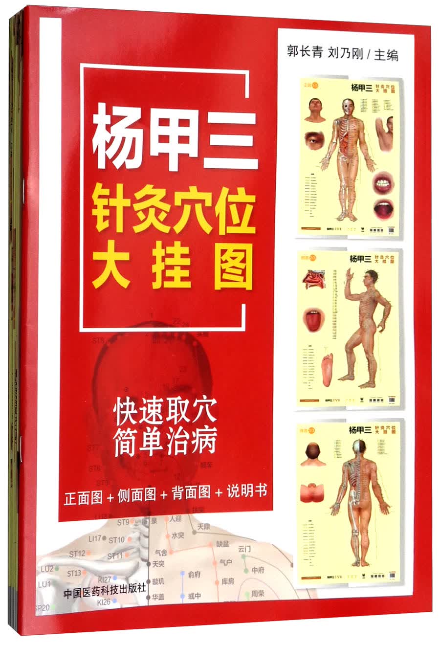 杨甲三针灸穴位大挂图