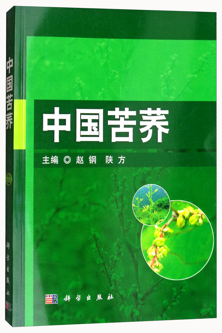 中国苦荞