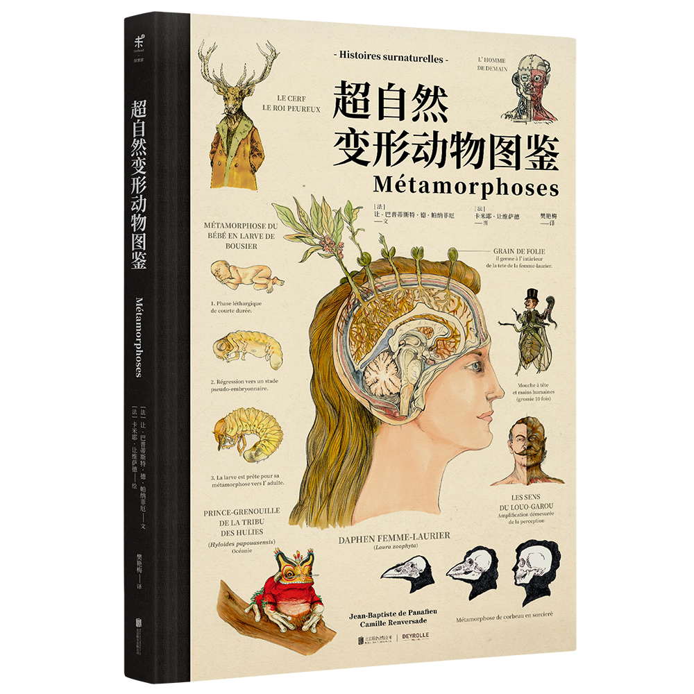 超自然变形动物图鉴