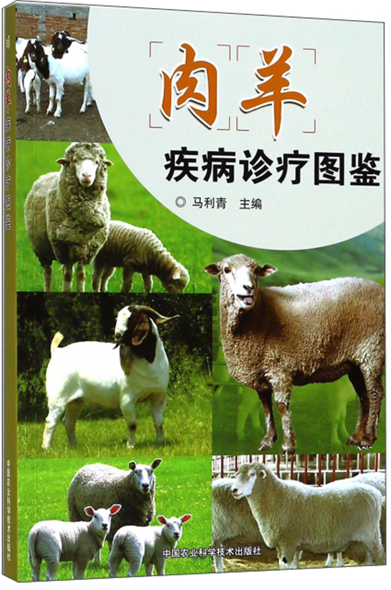 肉羊疾病诊疗图鉴