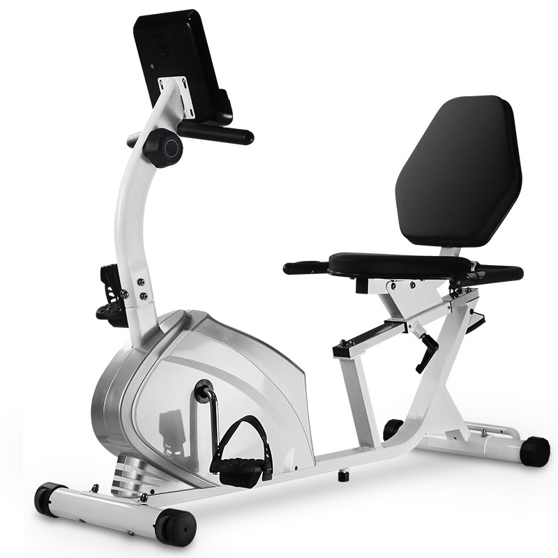 雷克（LEIKE）老人卧式健身车家用动感单车 磁控室内运动自行车康复训练健身锻炼器材 BC600D白色