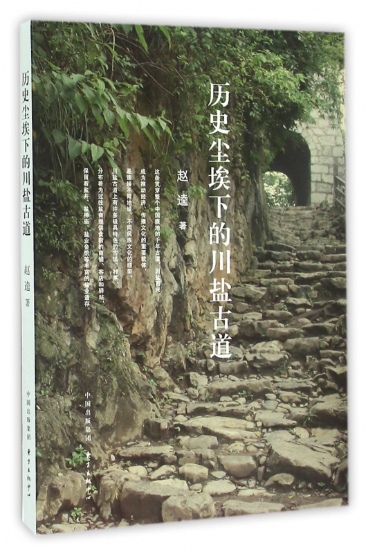 历史尘埃下的川盐古道