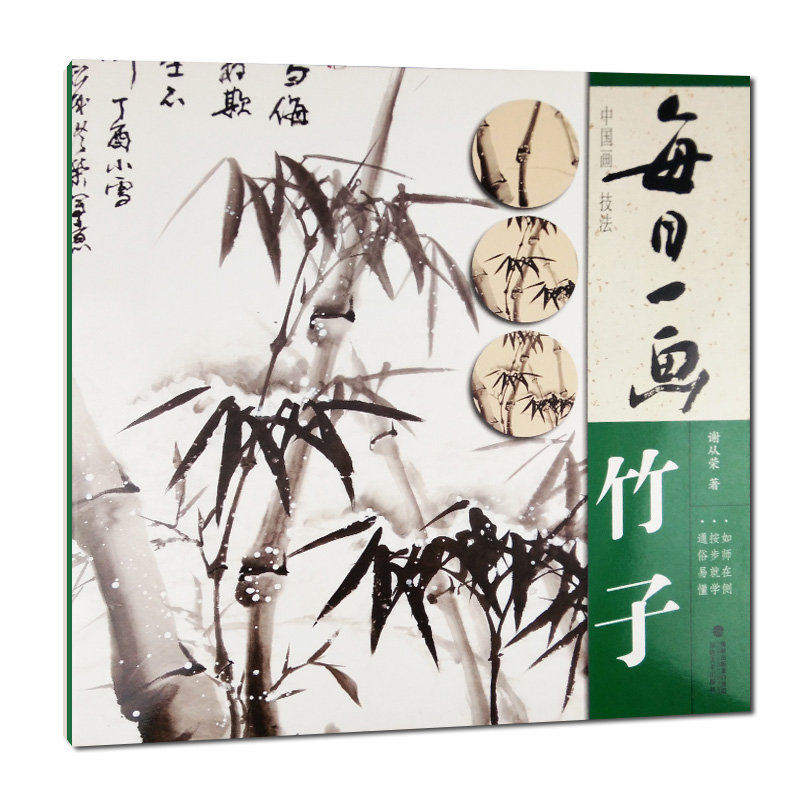 每日一画竹子 中国画技法国画书写意水墨画竹子册页 工笔画竹子技法