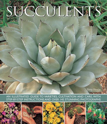 【预订】succulents: an illustrated guide to