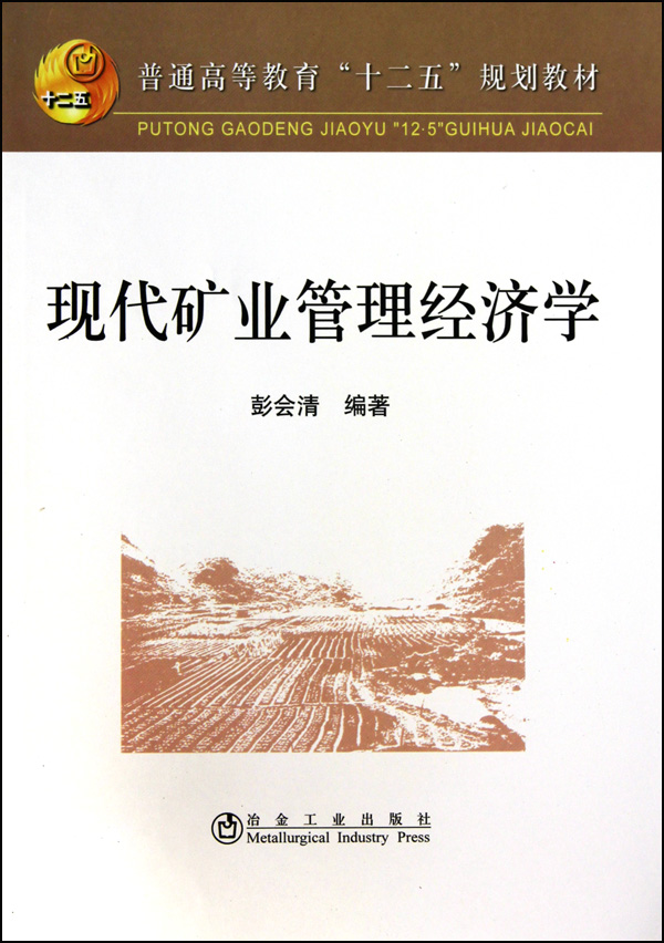 现代矿业管理经济学